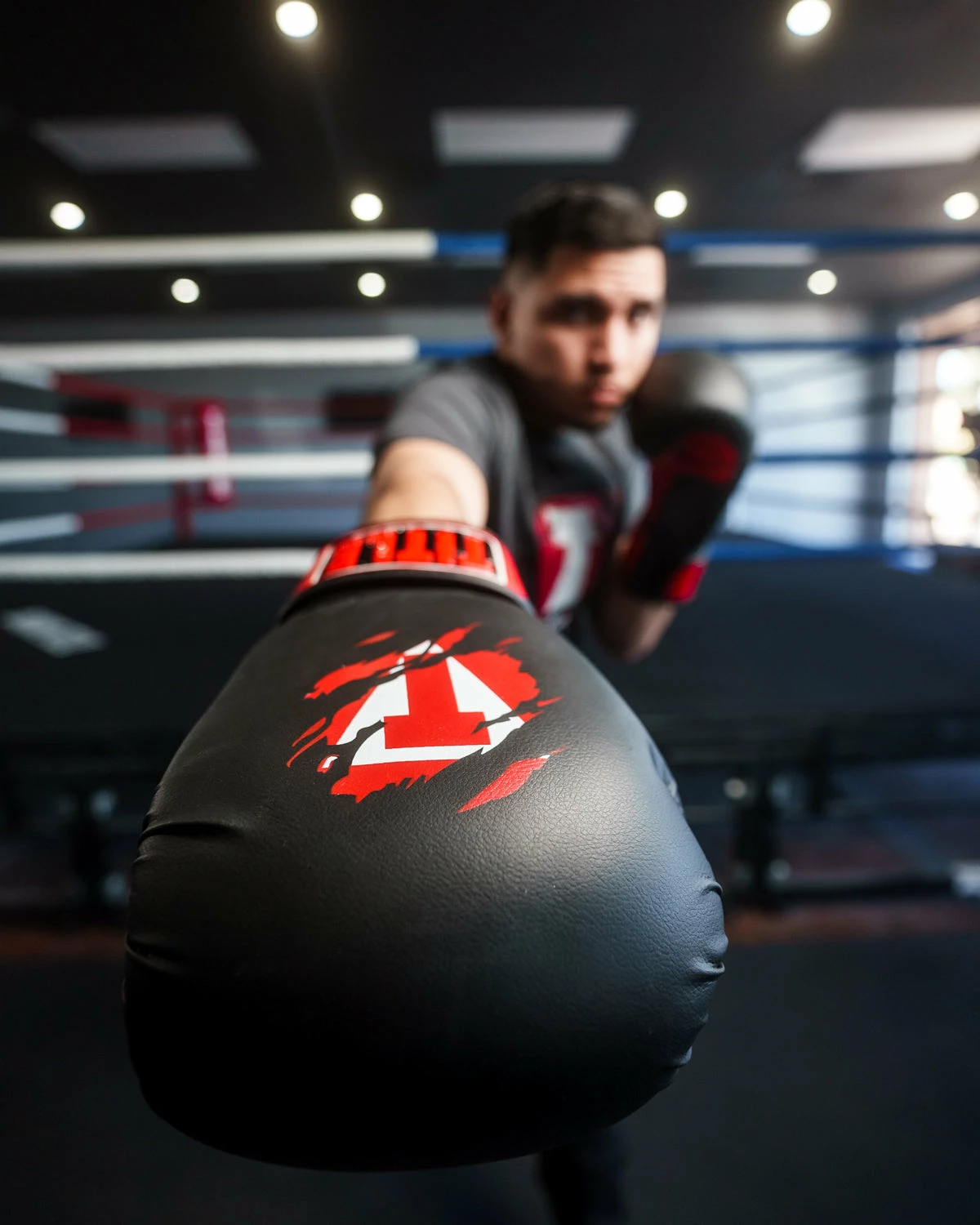 TITLE Classic Shredded Boxing Gloves - Image 20