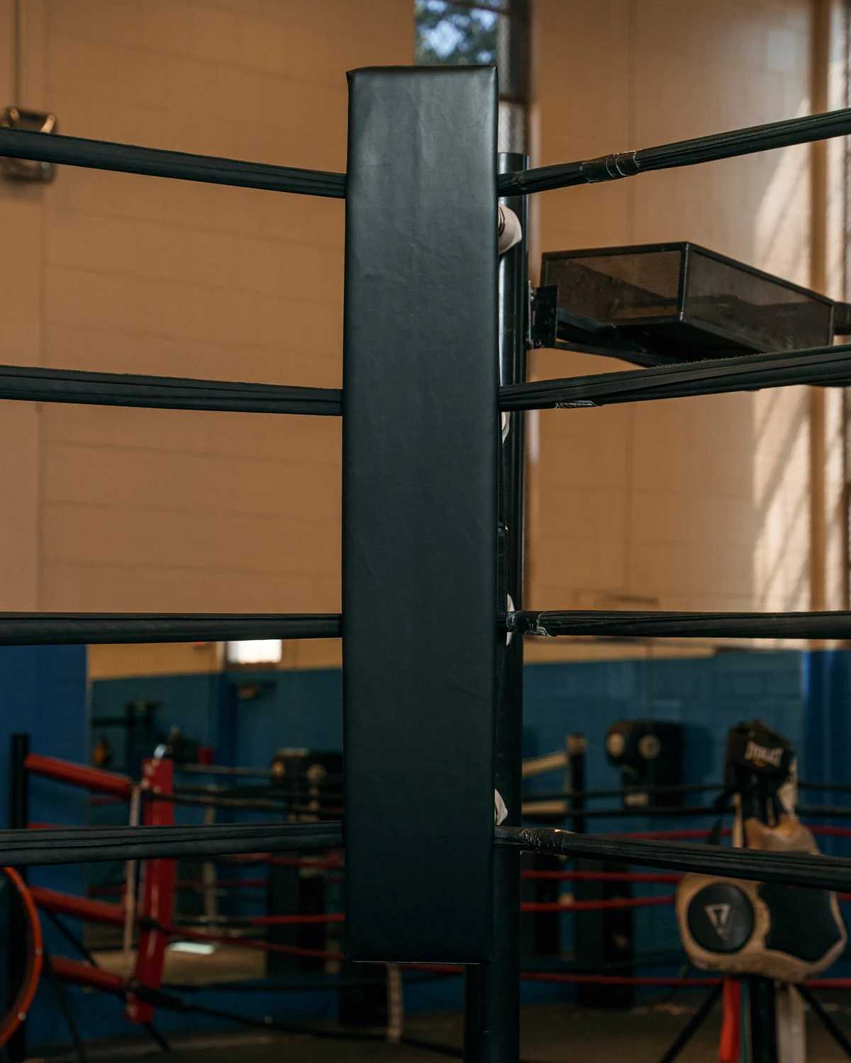 TITLE Boxing Blank Pro Corner Cushion V3.0 - Single - Image 2