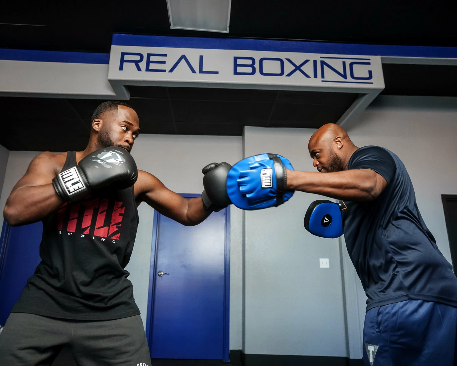 TITLE Boxing Cobra Micro Mitts 3.0 - Image 11