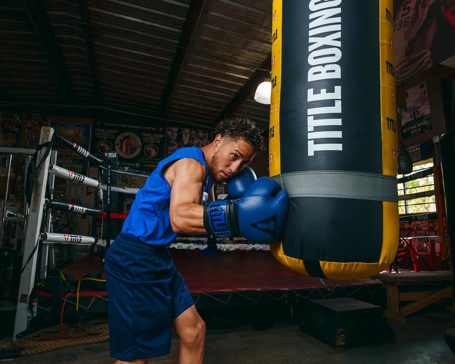 TITLE Boxing Dauntless Training Gloves - Image 2