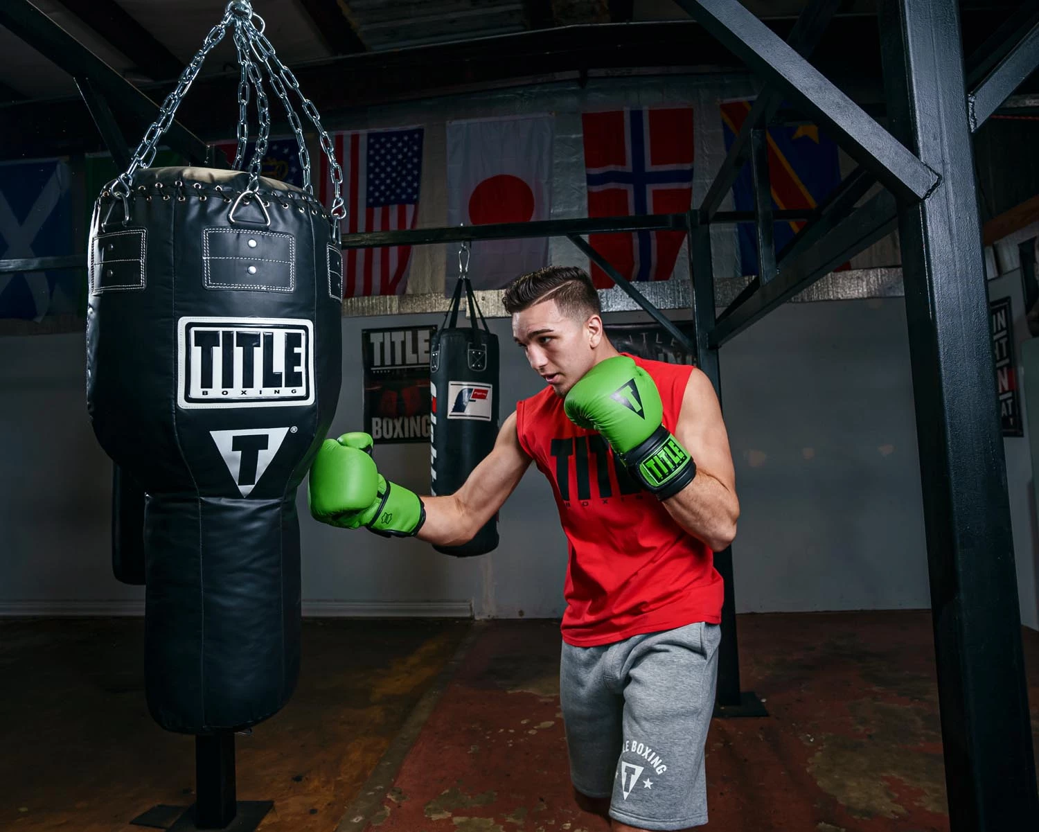 TITLE Boxing Dauntless Training Gloves - Image 10