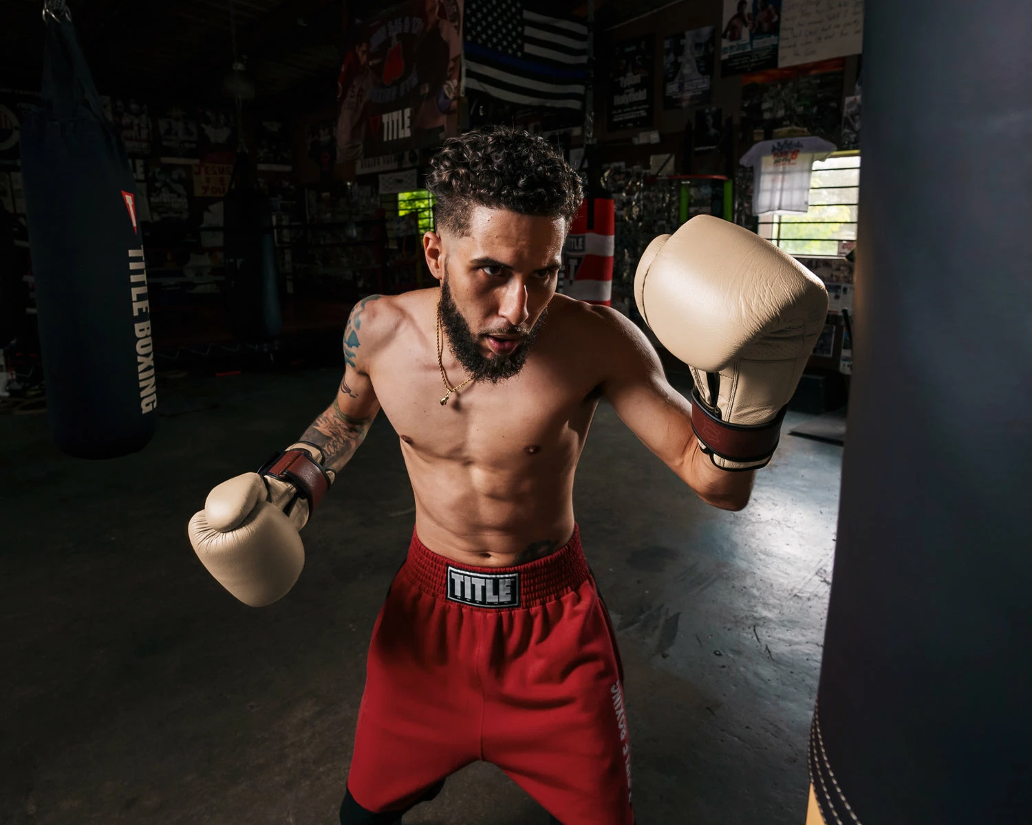 TITLE Boxing Honorary Bag Gloves - Image 17