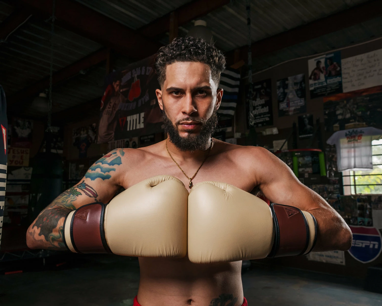 TITLE Boxing Honorary Bag Gloves - Image 11