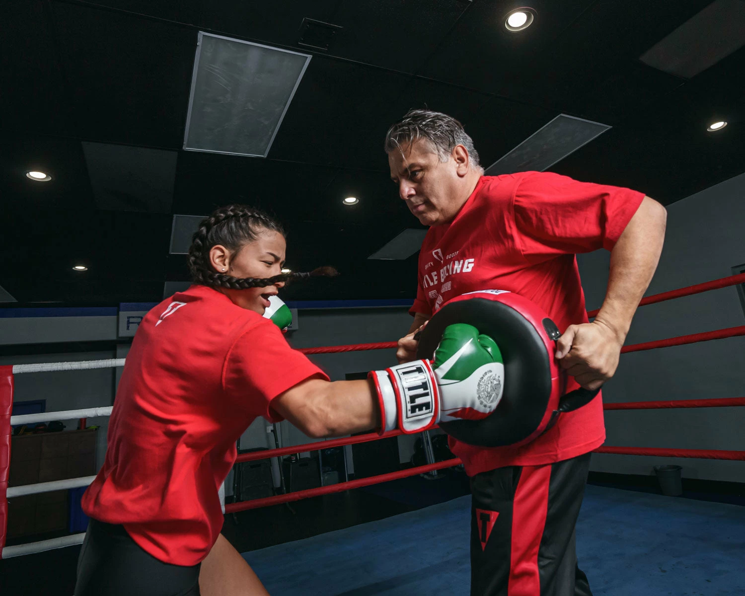 Pro Mex Accuracy Leather Pro Punch Shield 2.0 - Image 2