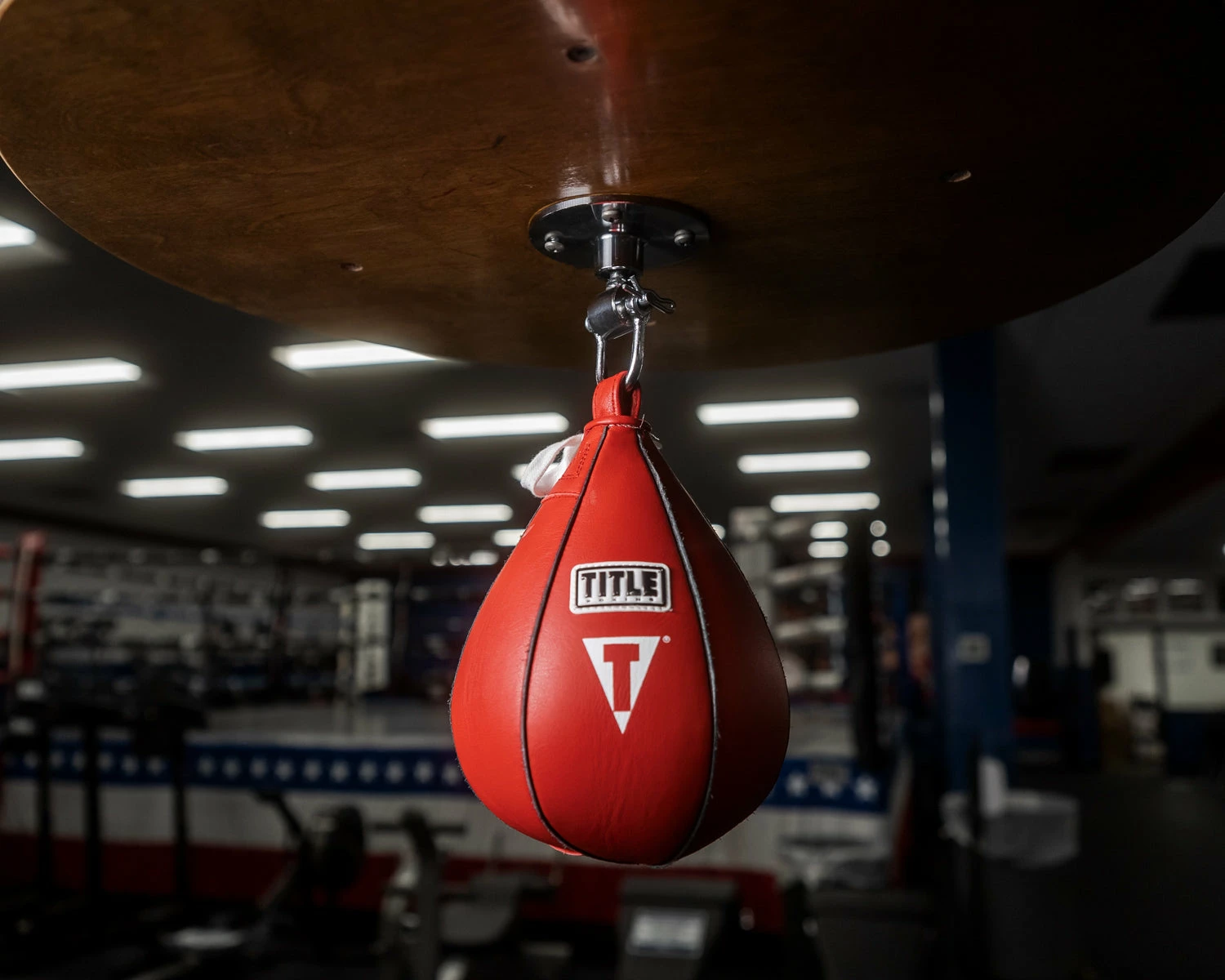 TITLE Boxing Super Speed Bags - Image 10