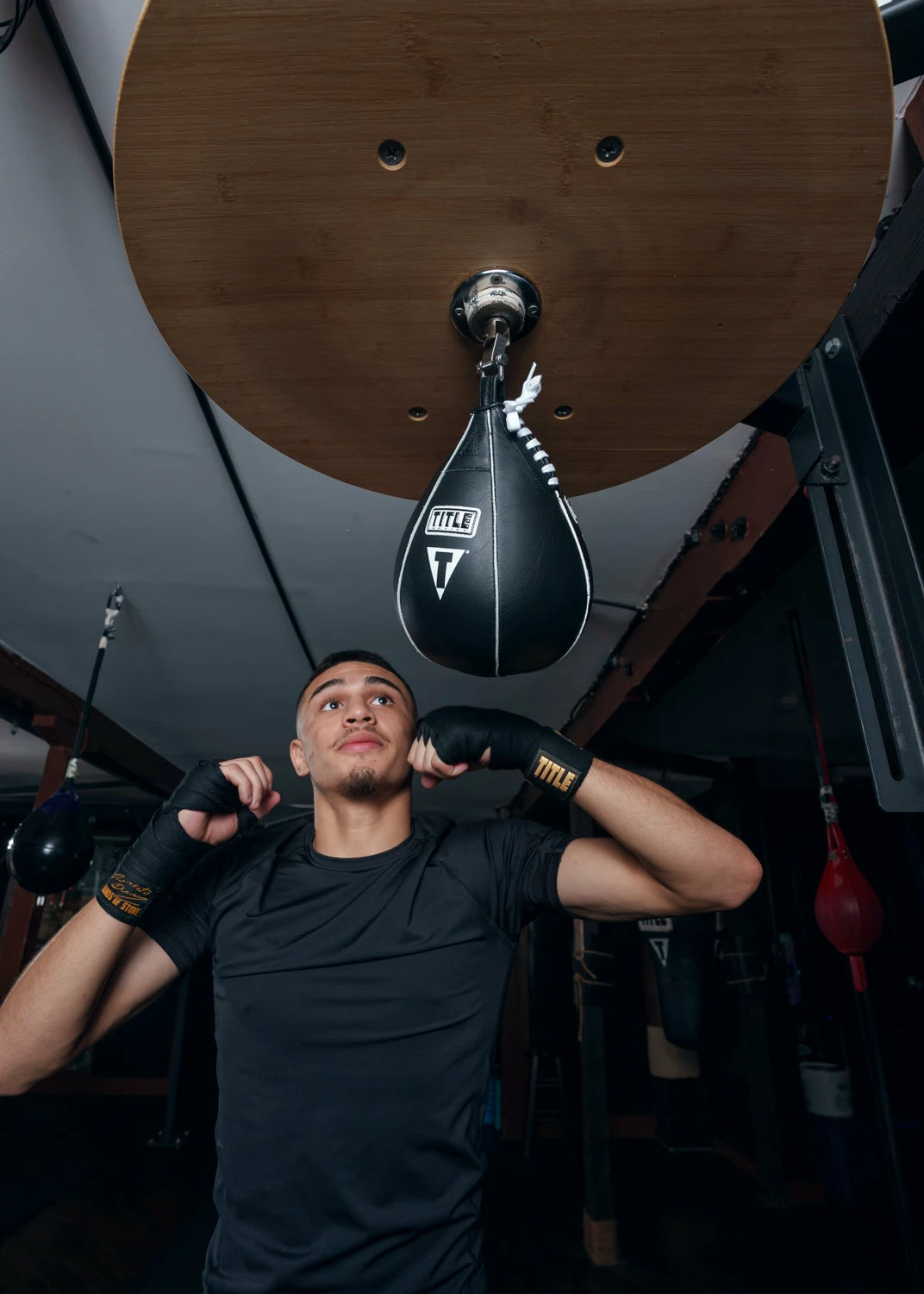 TITLE Boxing Super Speed Bags - Image 2