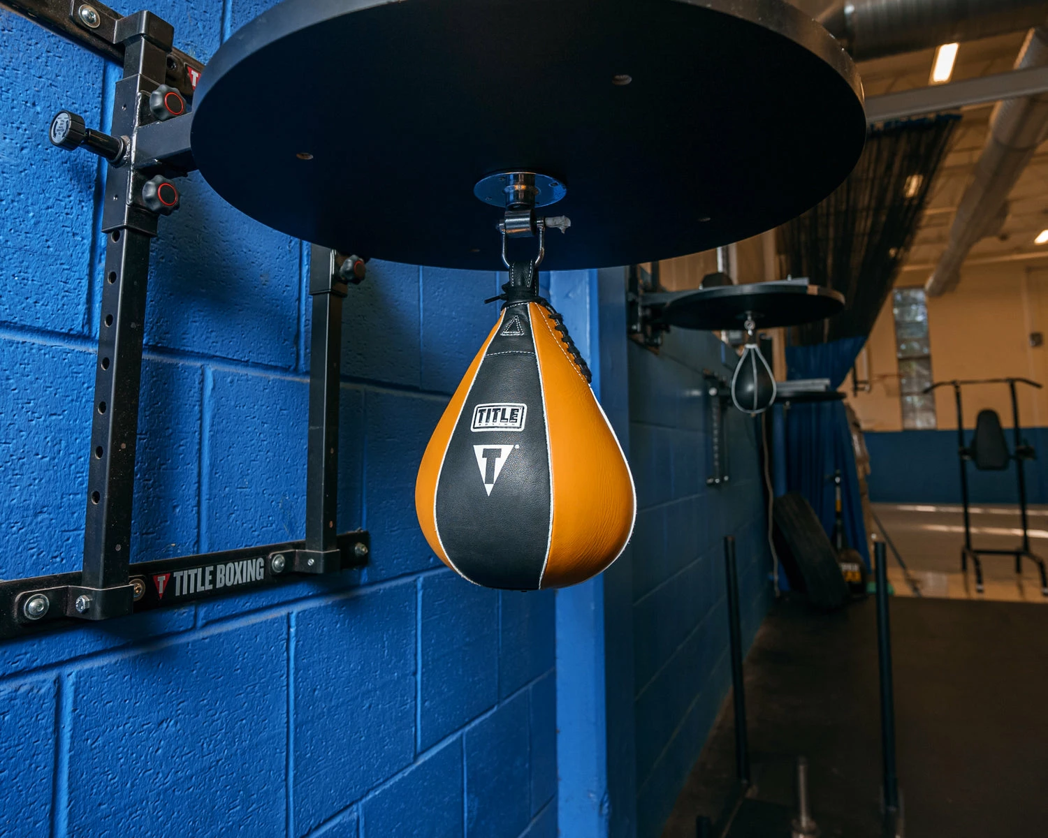 TITLE Boxing Super Speed Bags - Image 19