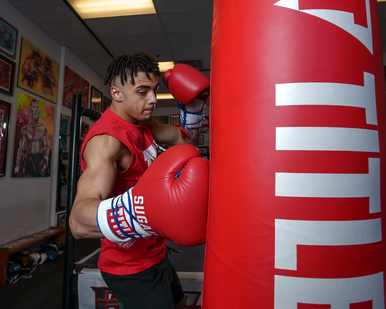 TITLE Boxing Sugar Ray Leonard Signature Leather Sparring Gloves - Image 10