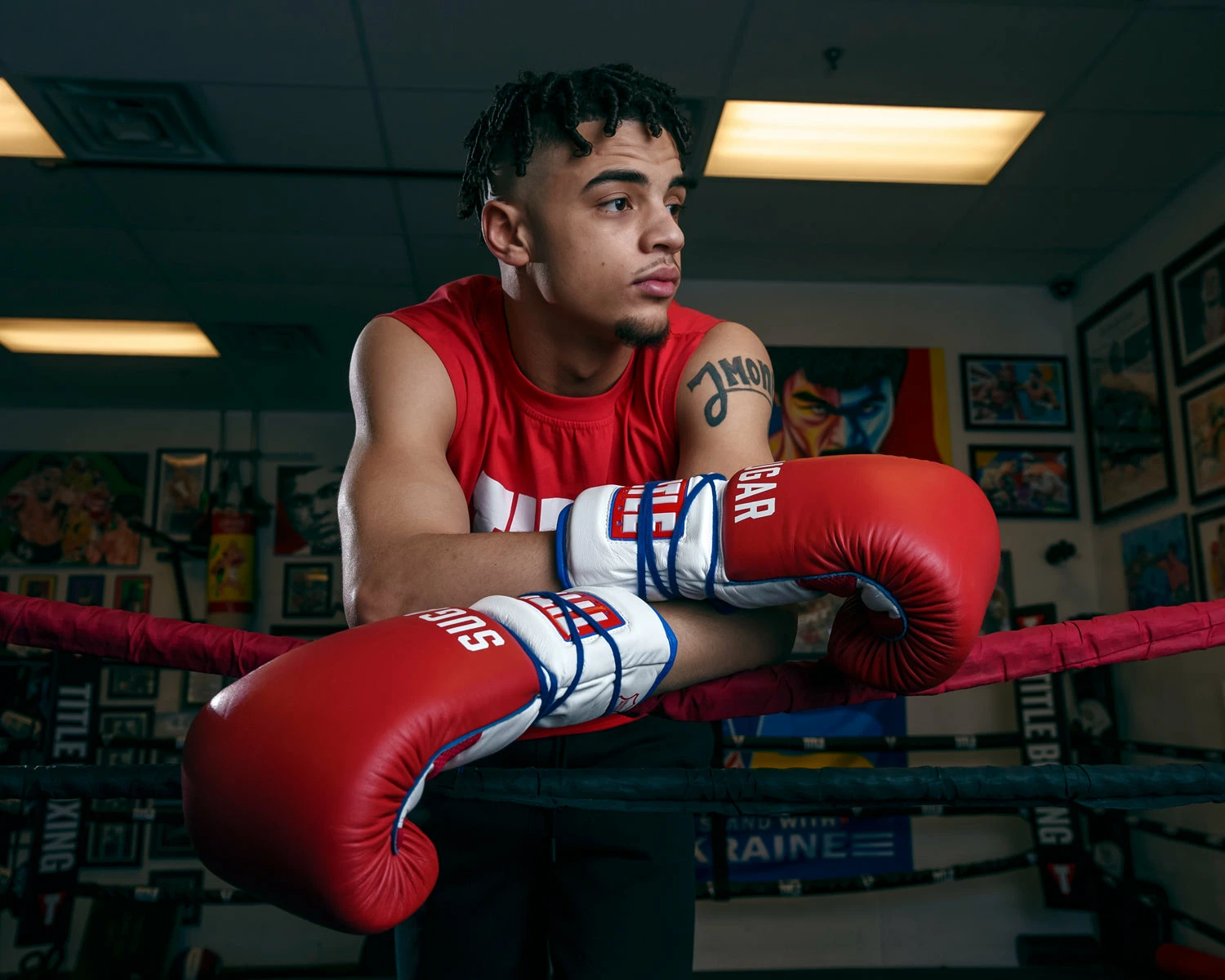 TITLE Boxing Sugar Ray Leonard Signature Leather Sparring Gloves - Image 11