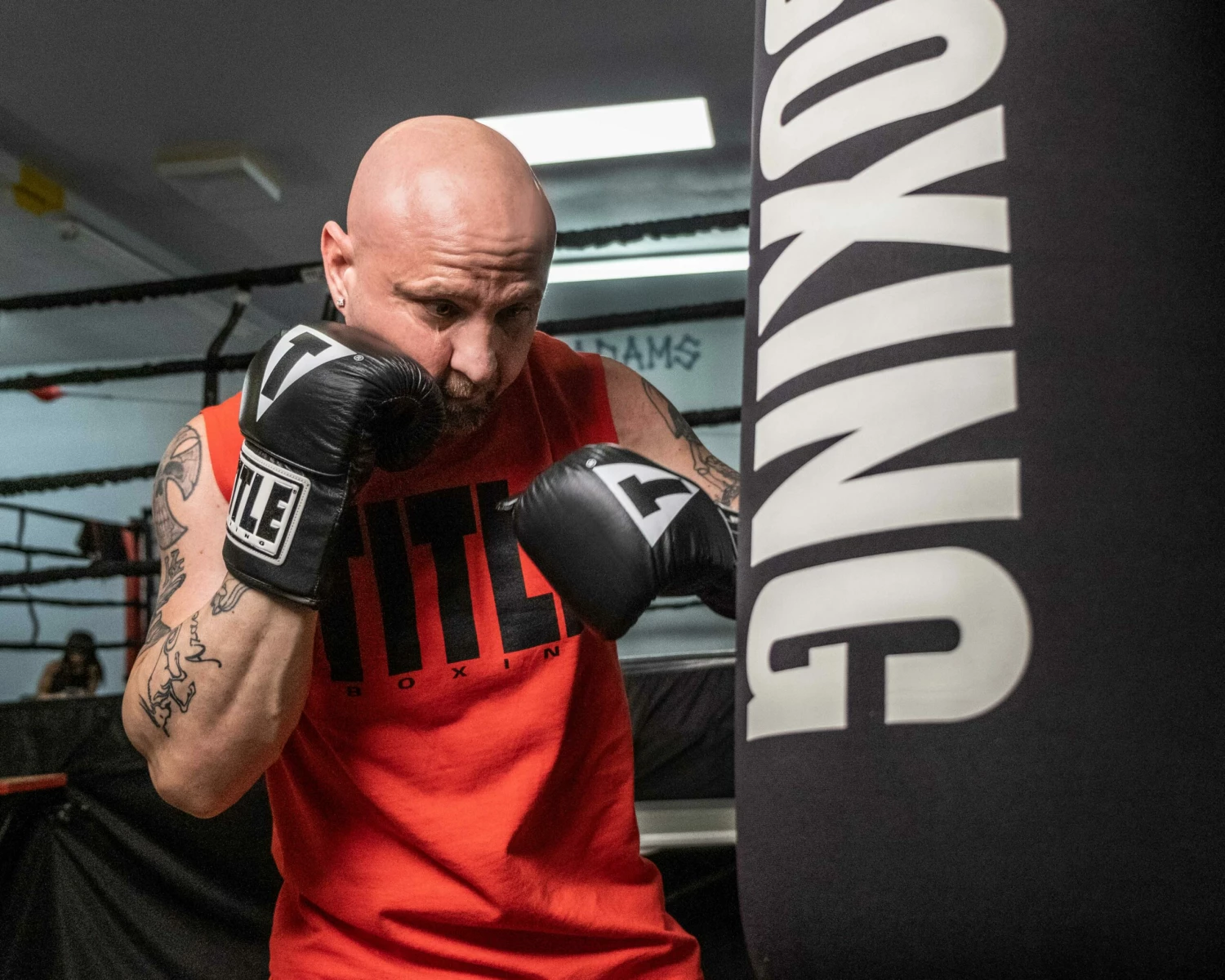 TITLE Boxing Pro Leather Bag Gloves 3.0 - Image 2