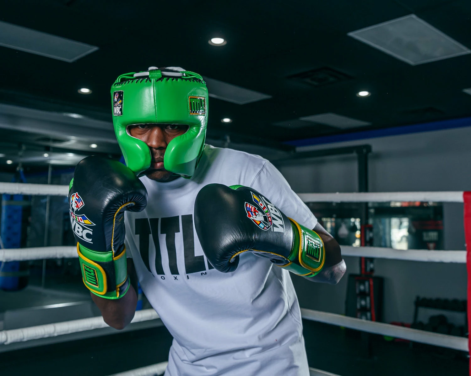 WBC By TITLE Boxing Sparring Headgear - Image 10