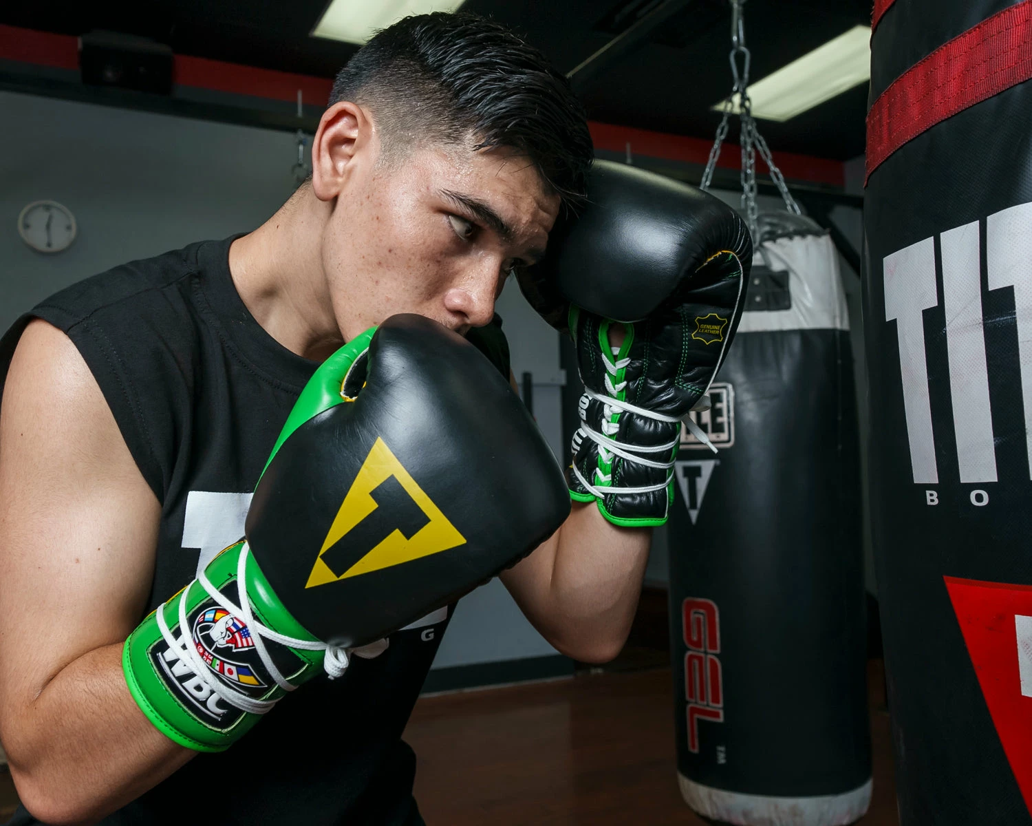 WBC By TITLE Boxing Sparring Gloves - Image 7