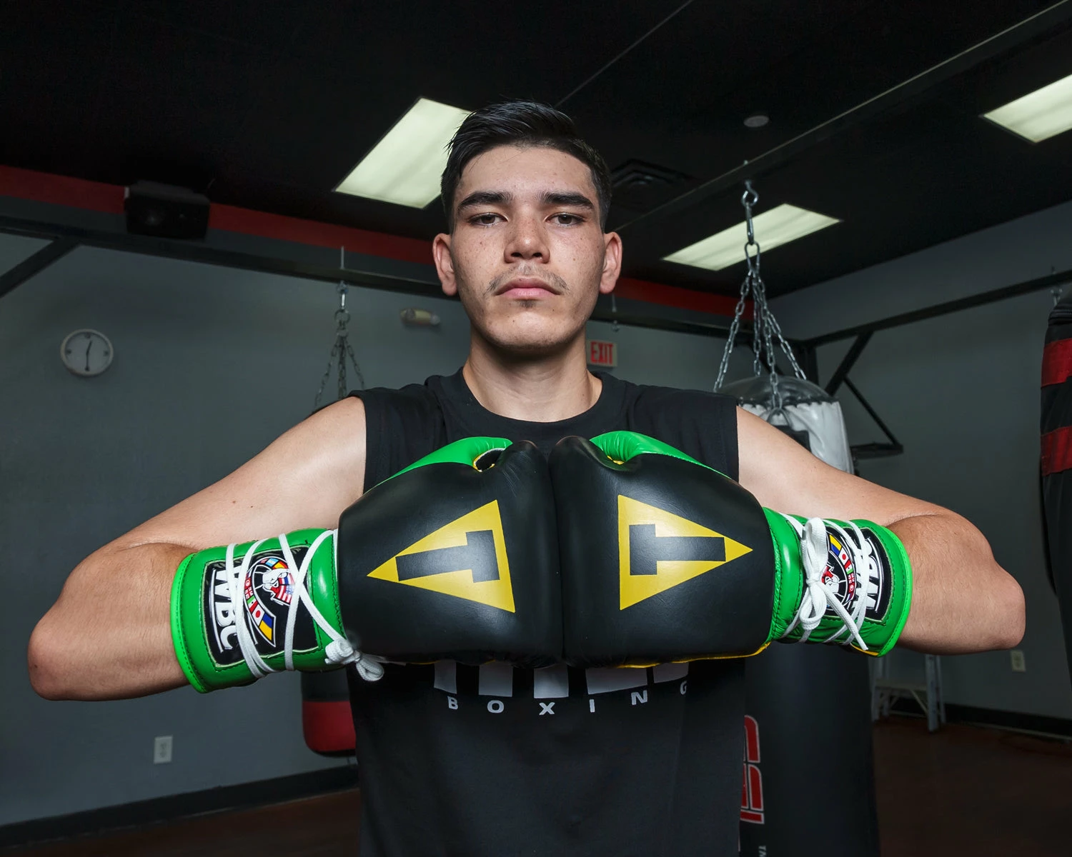 WBC By TITLE Boxing Sparring Gloves - Image 8