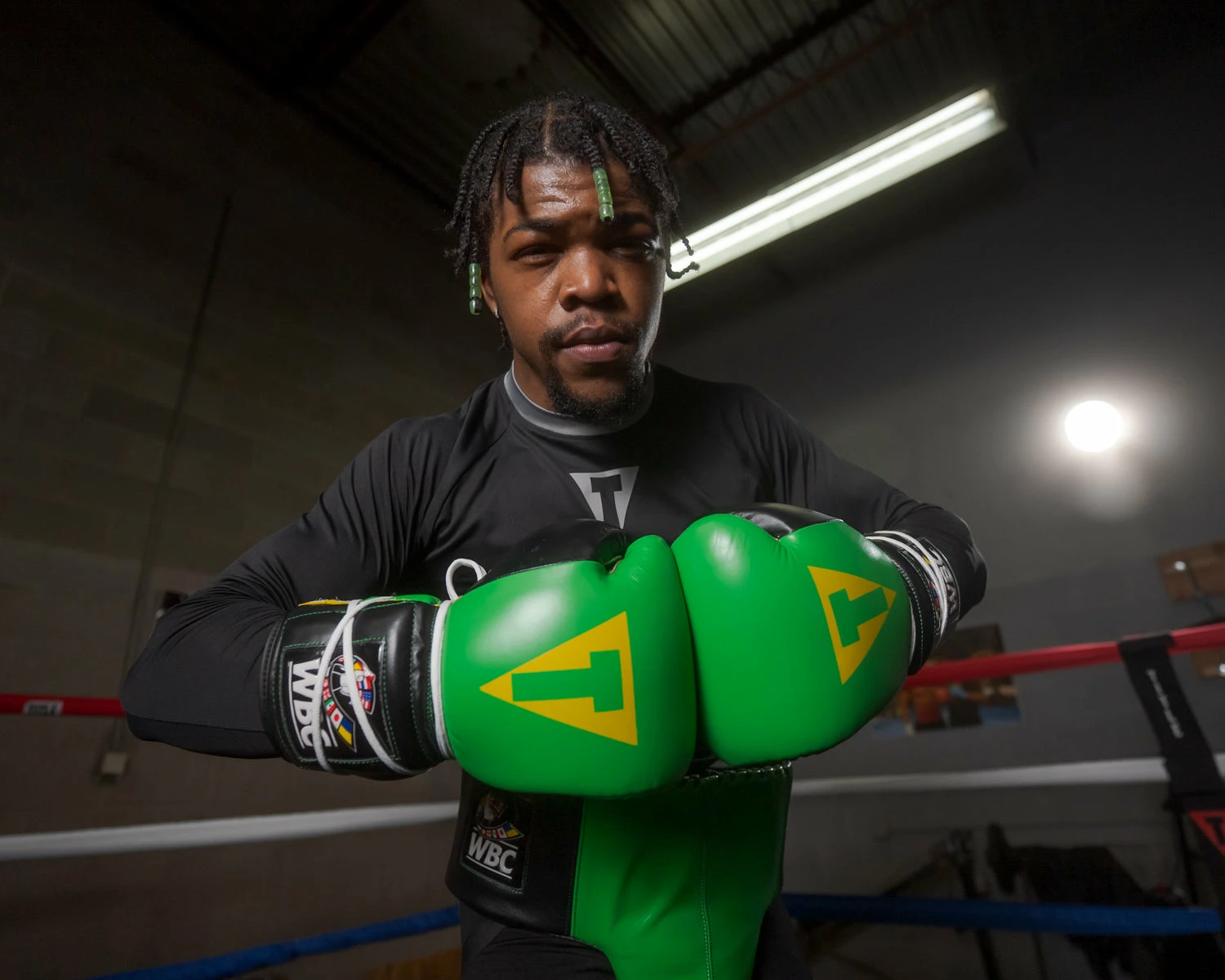 WBC By TITLE Boxing Sparring Gloves - Image 15