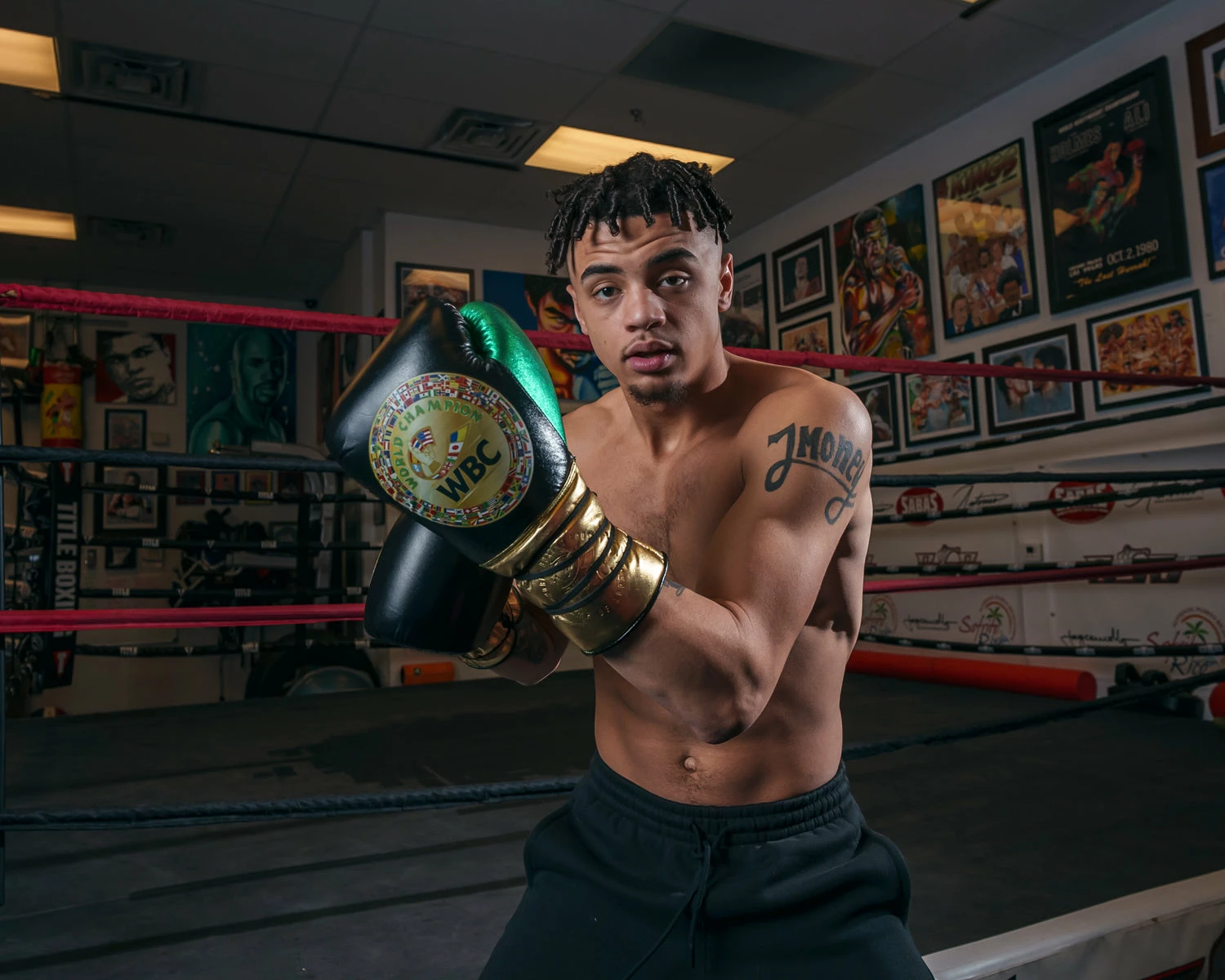 WBC By TITLE Boxing Green Belt Sparring Gloves - Image 7