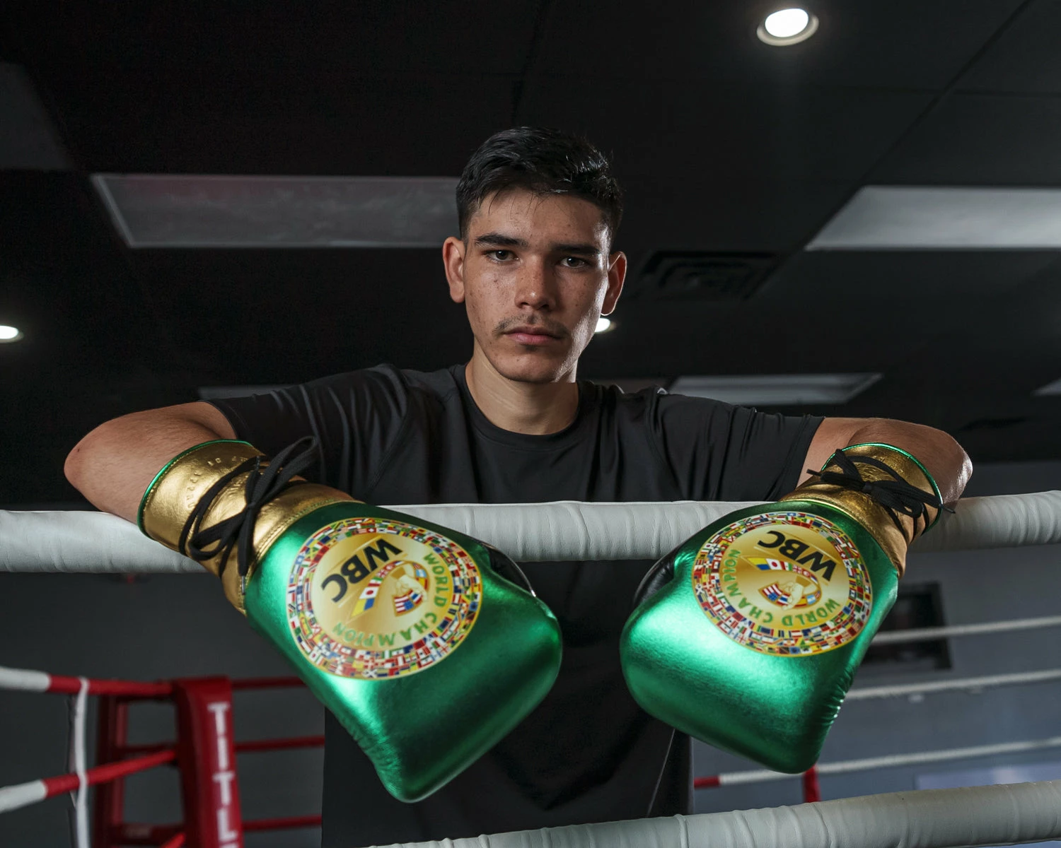 WBC By TITLE Boxing Green Belt Sparring Gloves - Image 17