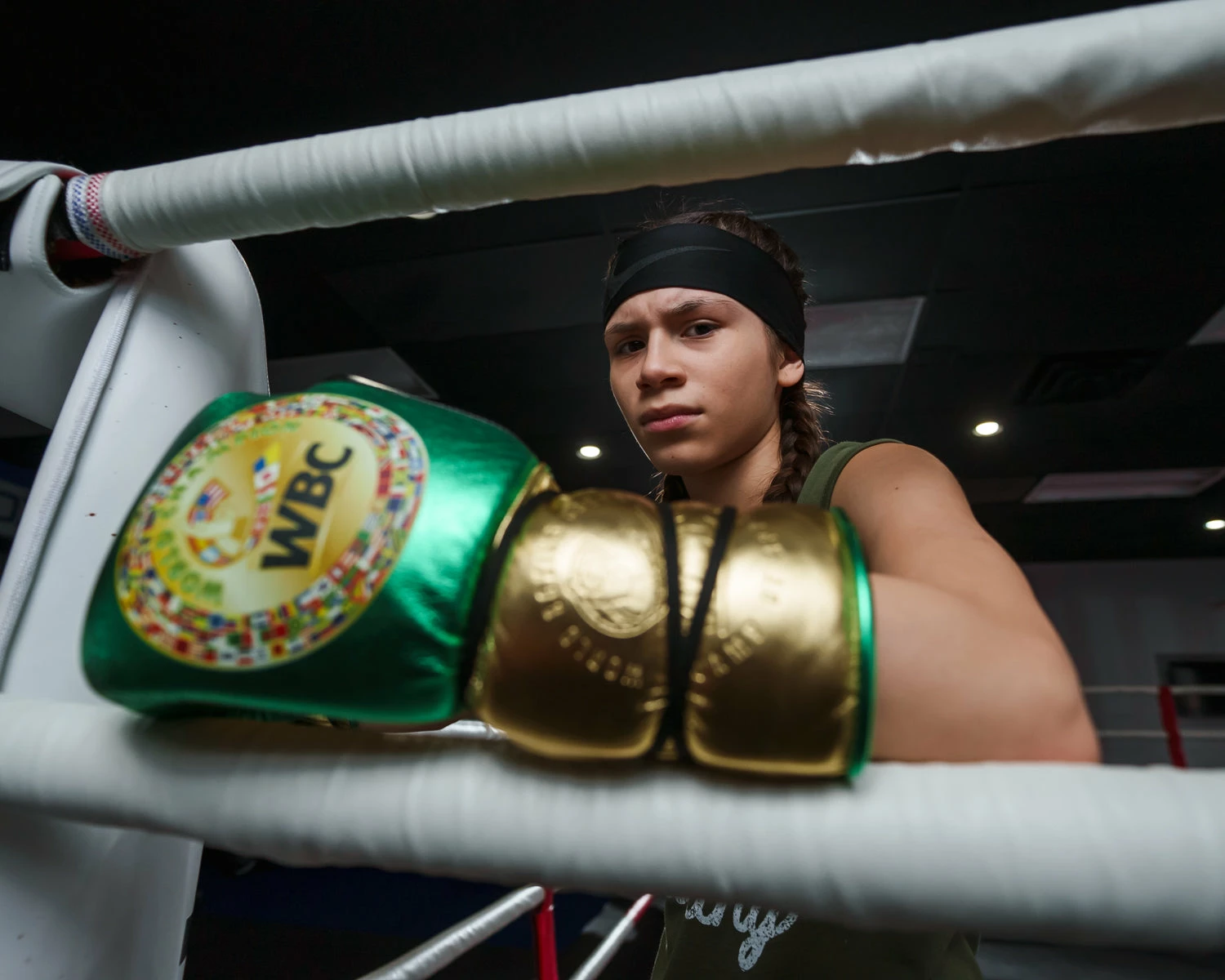 WBC By TITLE Boxing Green Belt Sparring Gloves - Image 16