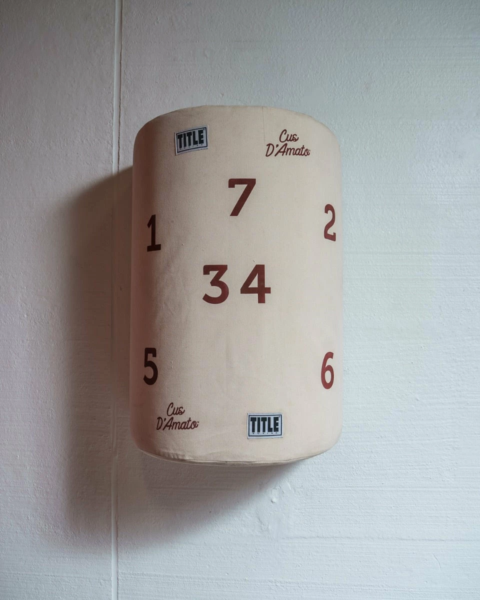 TITLE Boxing Cus D’Amato Willie Heavy Bag - Image 4