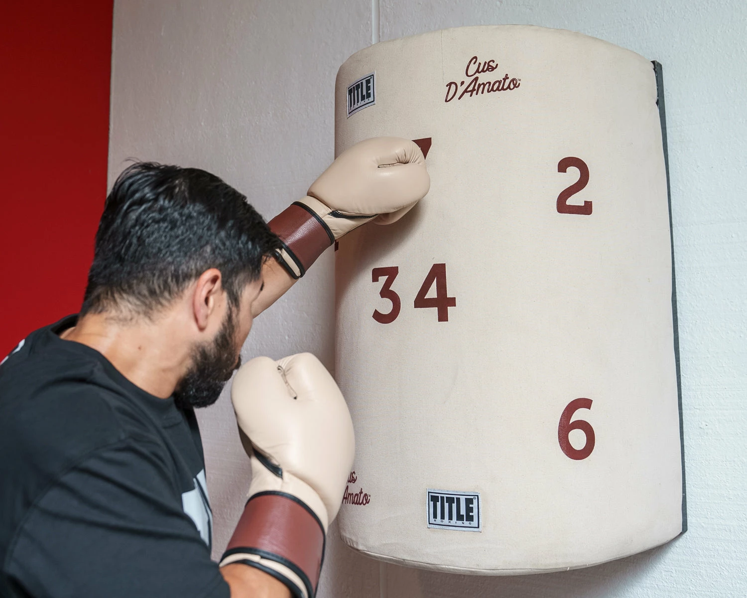 TITLE Boxing Cus D’Amato Willie Heavy Bag - Image 2