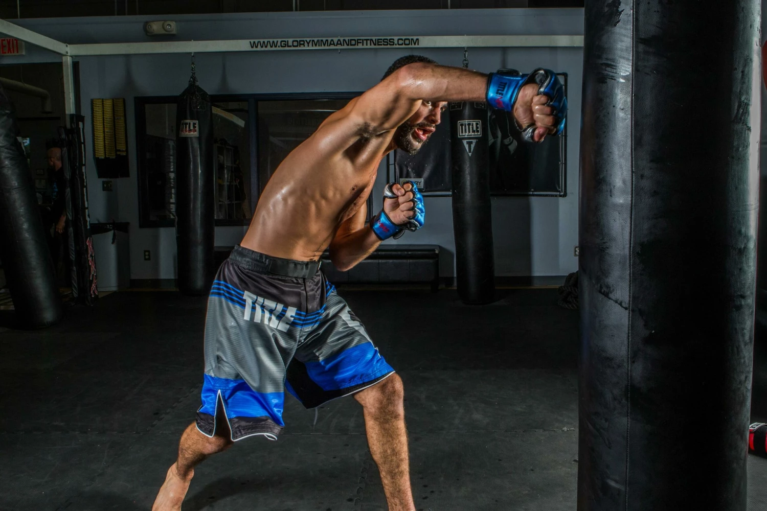 TITLE MMA Menace Metallic Training Gloves - Image 2