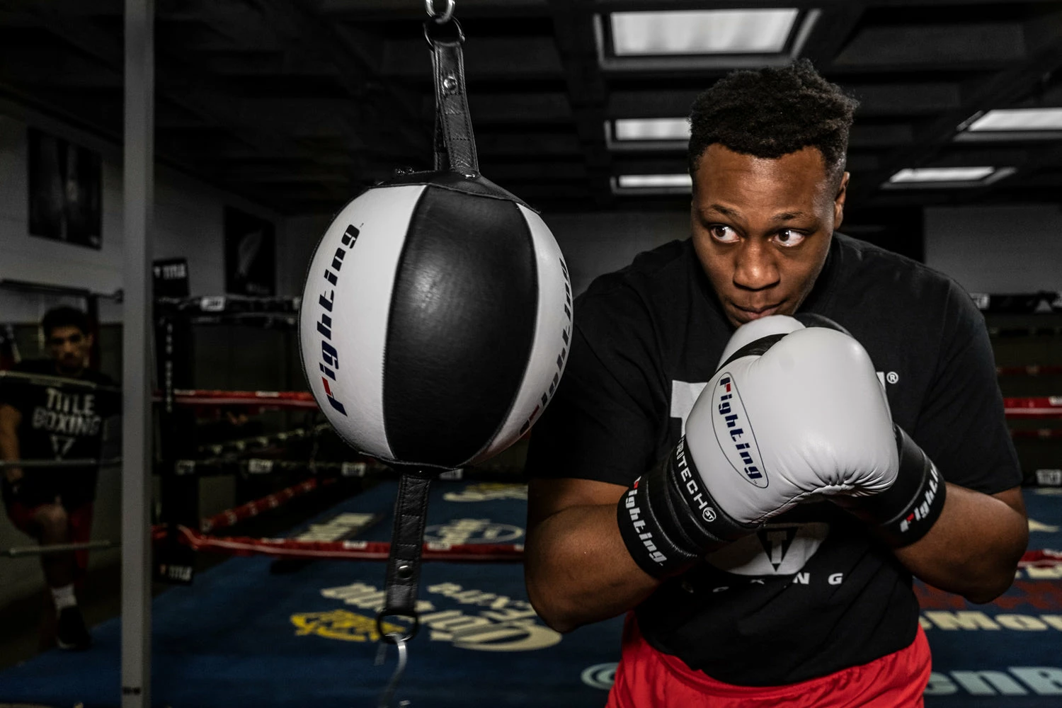 Fighting Fury Double End Bag - Image 4