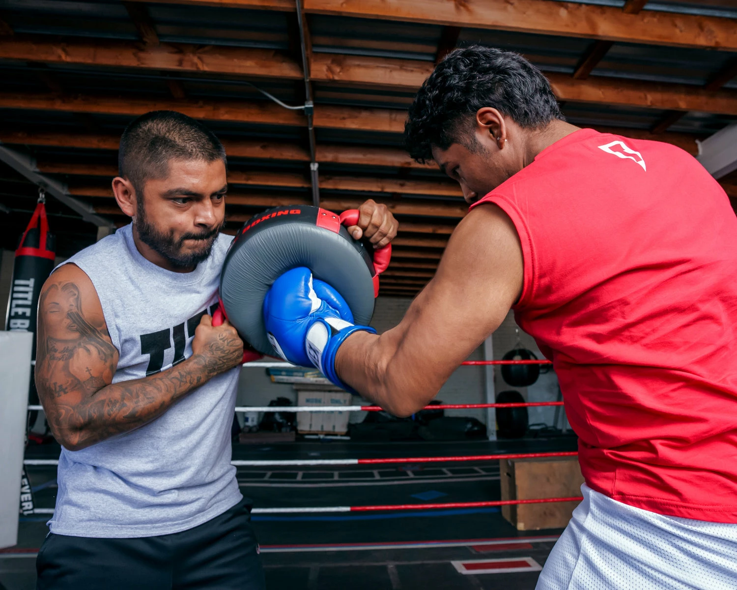 TITLE Boxing Memory Foam Punch Shield - Image 6