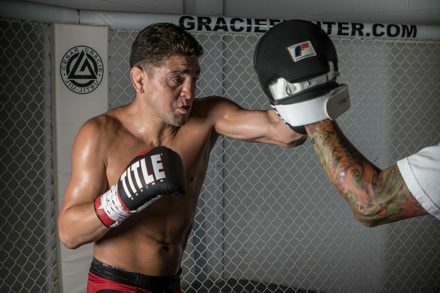 Fighting Tri-Tech Curved Mitts - Image 2