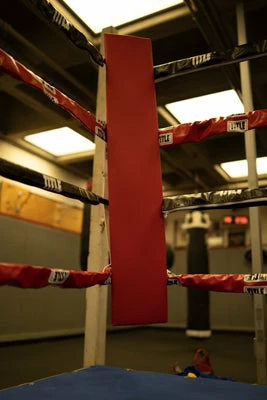 TITLE Boxing Blank Pro Corner Cushion V3.0 - Single - Image 7