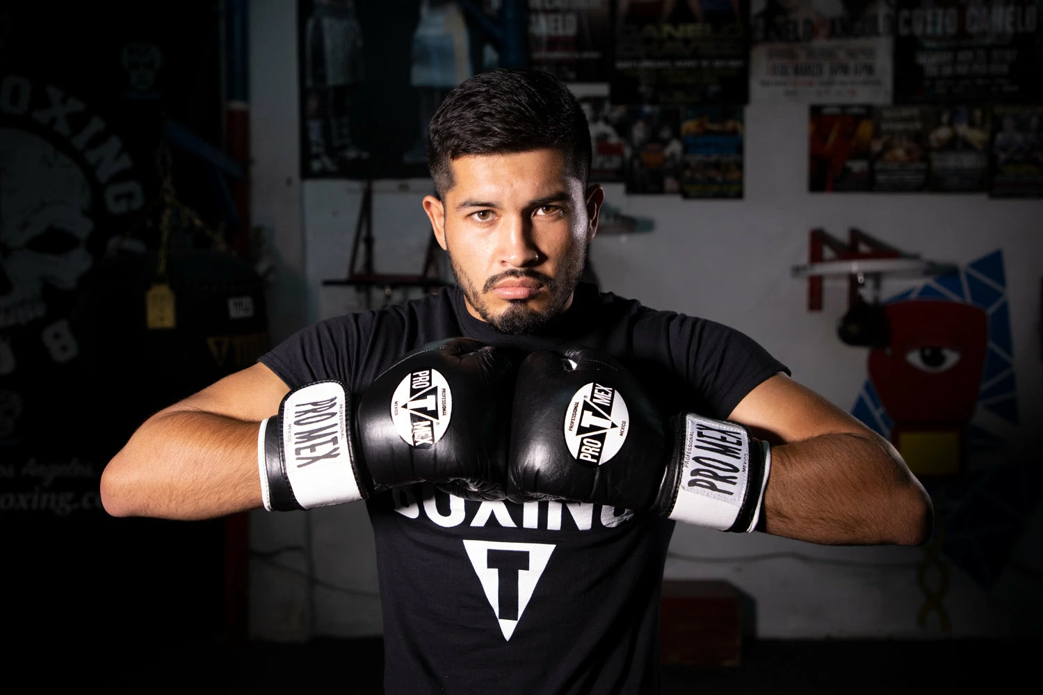 Pro Mex Professional Bag Gloves V3.0 - Image 2