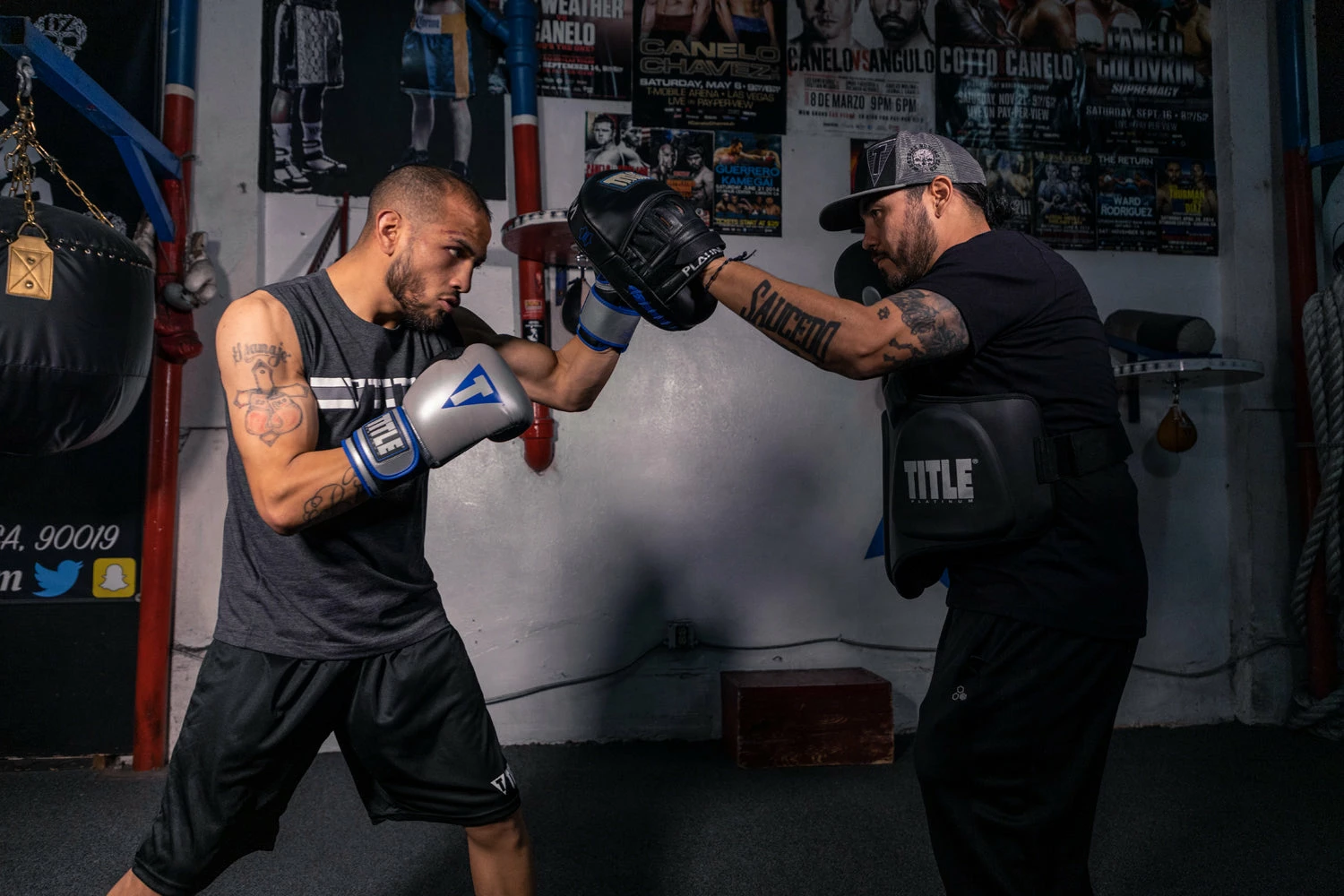 TITLE Platinum Prolific Body Protector - Image 6