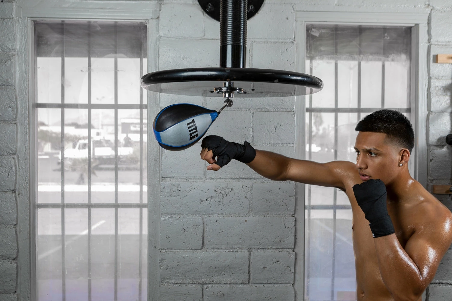 TITLE Platinum Perilous Speed Bag - Image 2