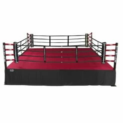 TITLE Boxing Professional Training Ring