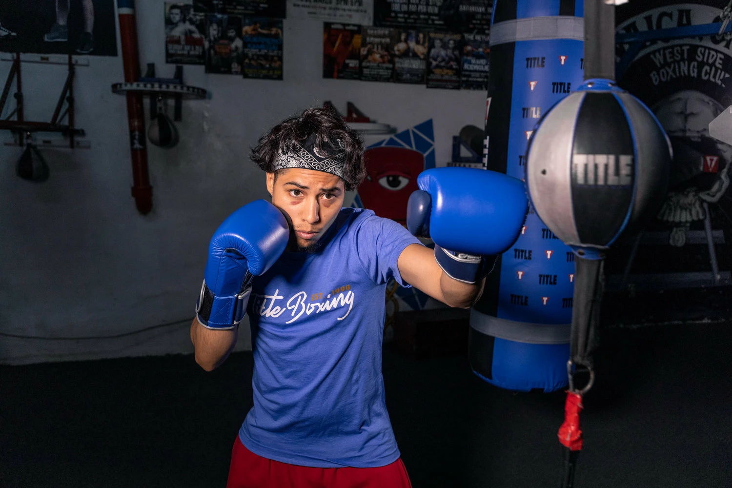 TITLE Boxing Royalty Leather Bag Gloves - Image 7