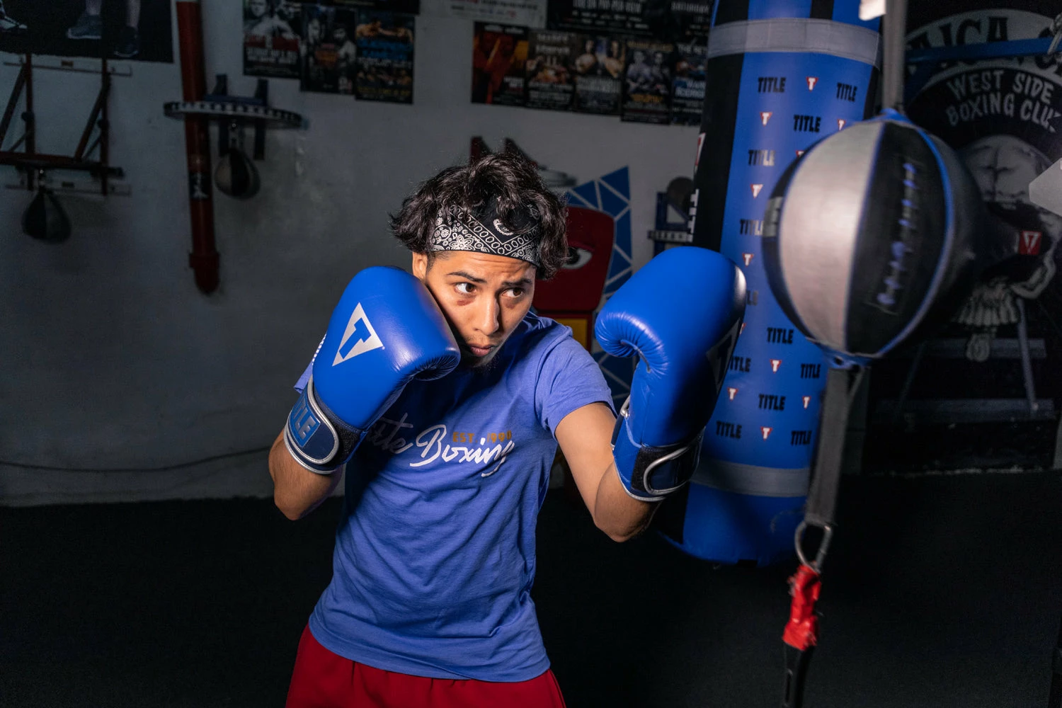 TITLE Boxing Royalty Leather Bag Gloves - Image 2