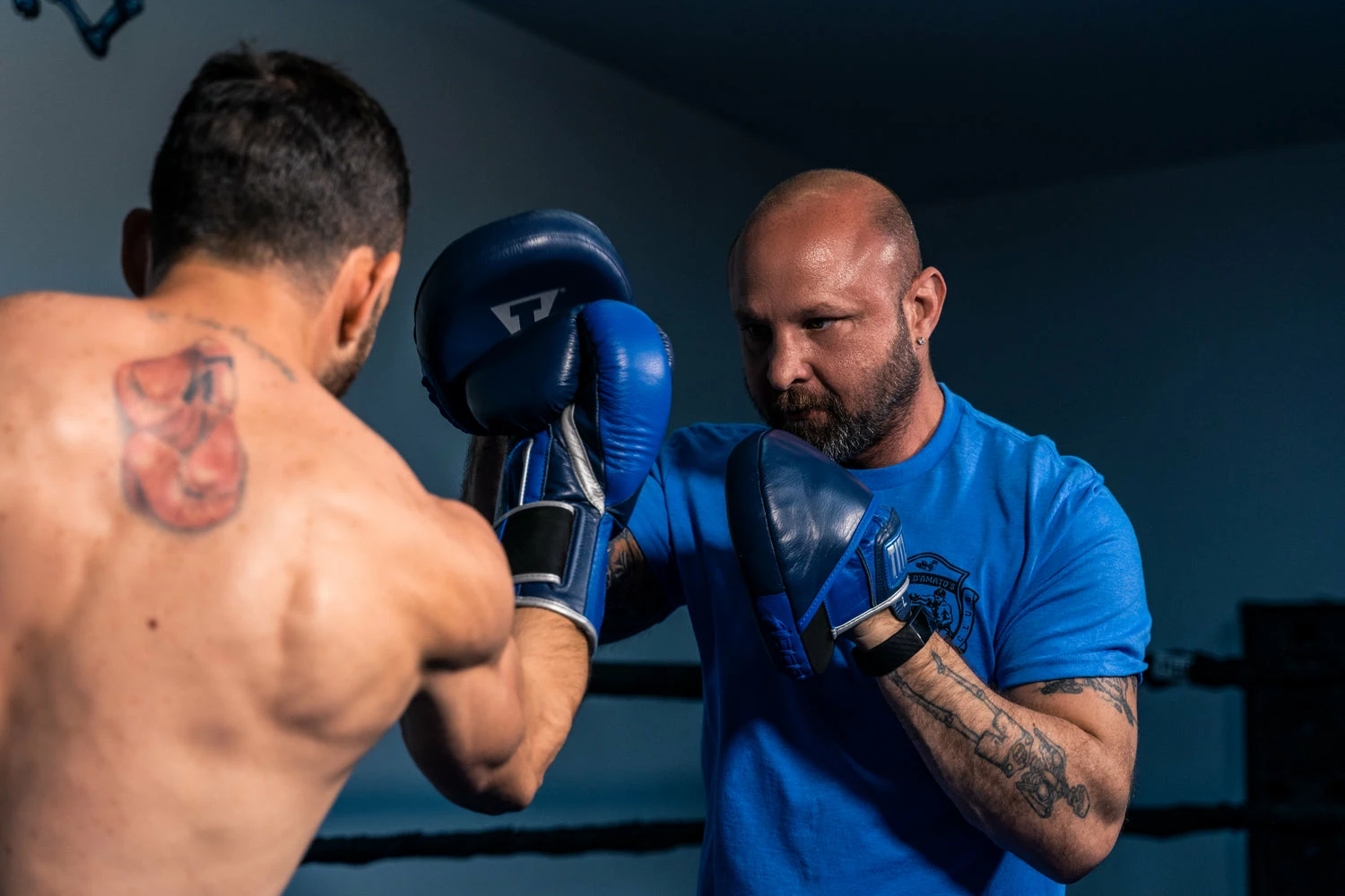 TITLE Boxing Royalty Leather Micro Punch Mitts - Image 6