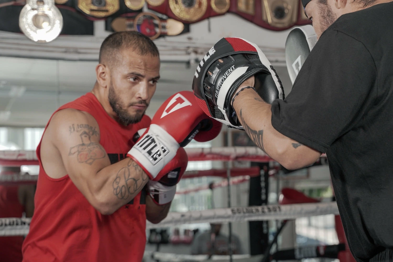 TITLE Boxing Aerovent Excel Incredi-Mitts 2.0 - Image 9