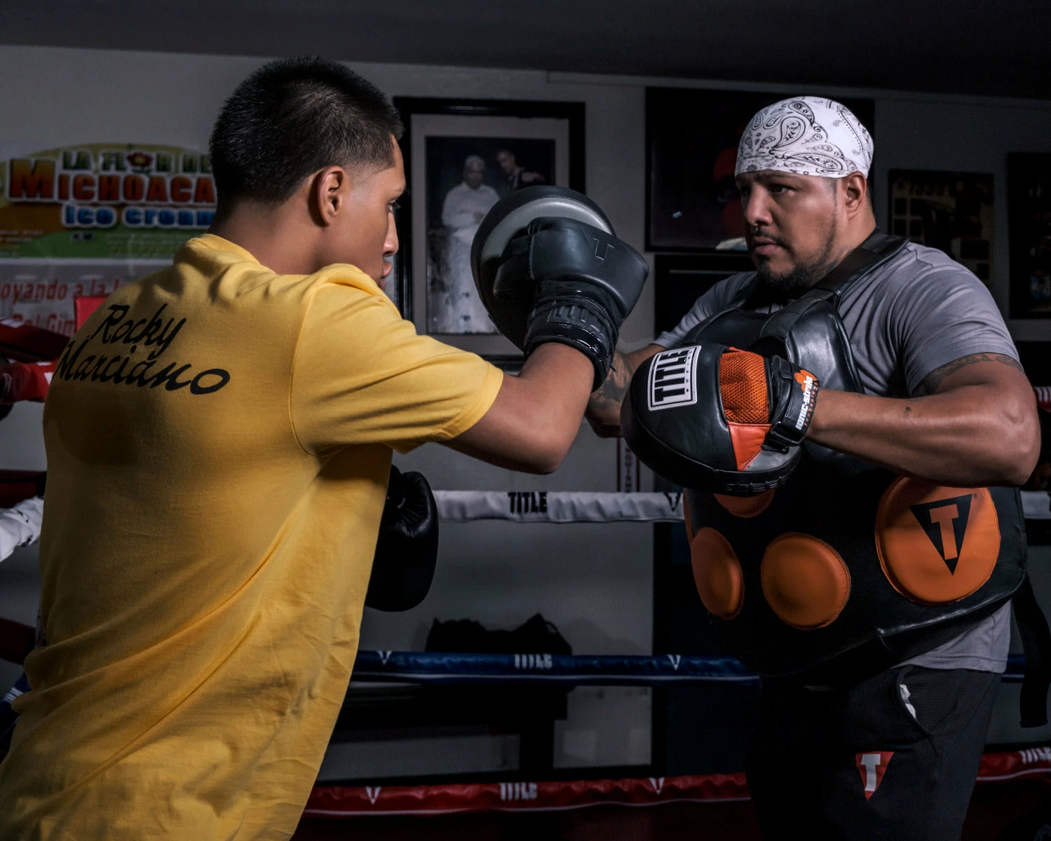 TITLE Boxing Ionic Strike Punch Mitts - Image 2