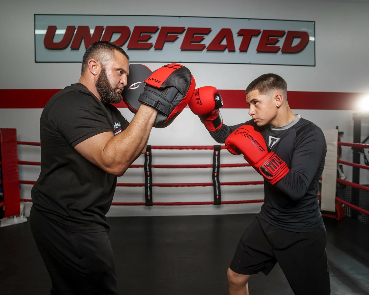 Viper By TITLE Boxing Elemental Punch Mitts 2.0 - Image 2