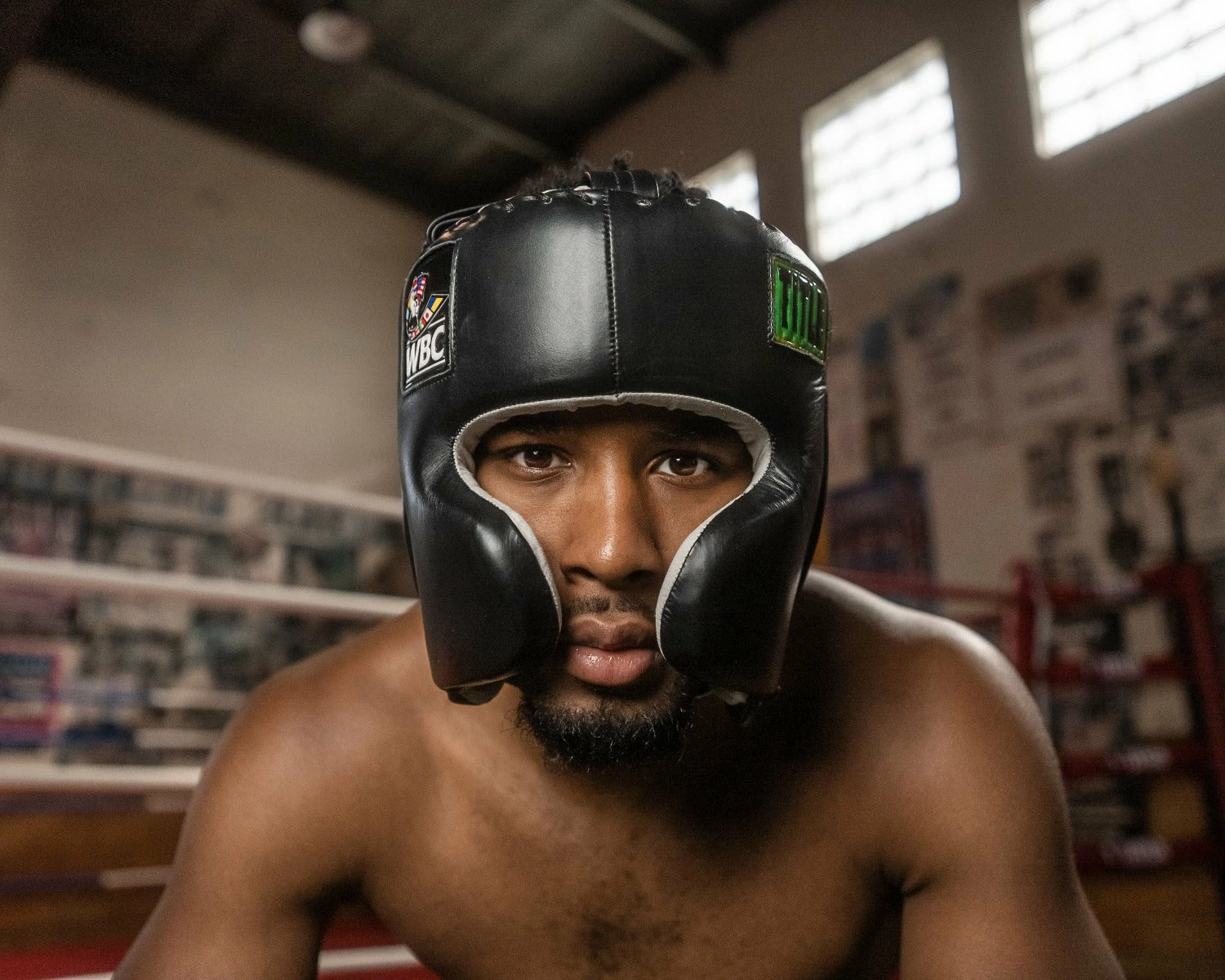 WBC By TITLE Boxing Sparring Headgear - Image 7