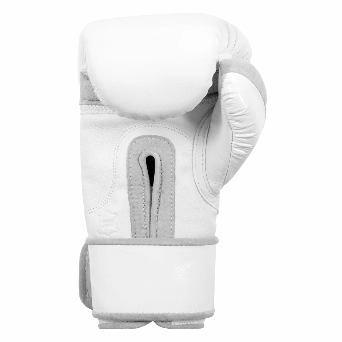 TITLE White Boxing Training Gloves 2.0 - Image 5